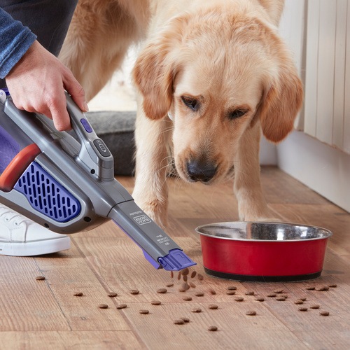 Aspirador de mano Conga Postar Micro Animal Hand Cecotec 2200mAh 500ml con  accesorio para mascotas | Comprar online en Embargosalobestia