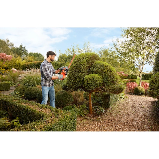 BLACKDECKER BEHT251 hedge trimmer used in a garden, person trimming topiary bushes.