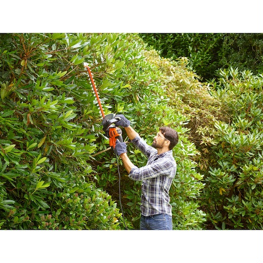 BLACKDECKER BEHTS451 hedge trimmer in use outdoors trimming tall green bushes.