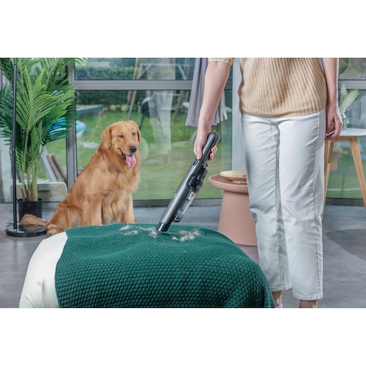 BLACKDECKER DVC320B21 handheld vacuum cleaning pet hair from green blanket with dog in background, indoor setting.