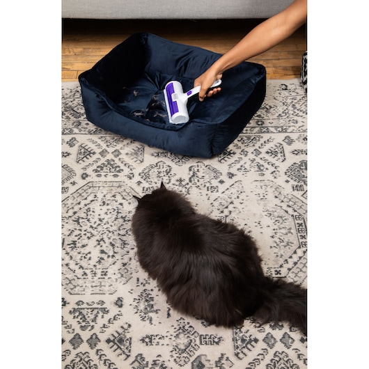 BLACKDECKER HMSCT0001 pet hair remover roller cleaning a dark blue pet bed, cat on patterned rug, top angle.