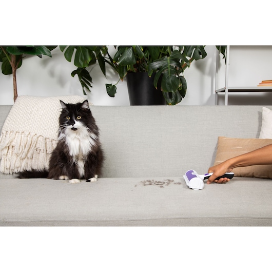 BLACKDECKER HMSCT0001 lint roller cleaning pet hair from a light gray sofa next to a black and white cat.
